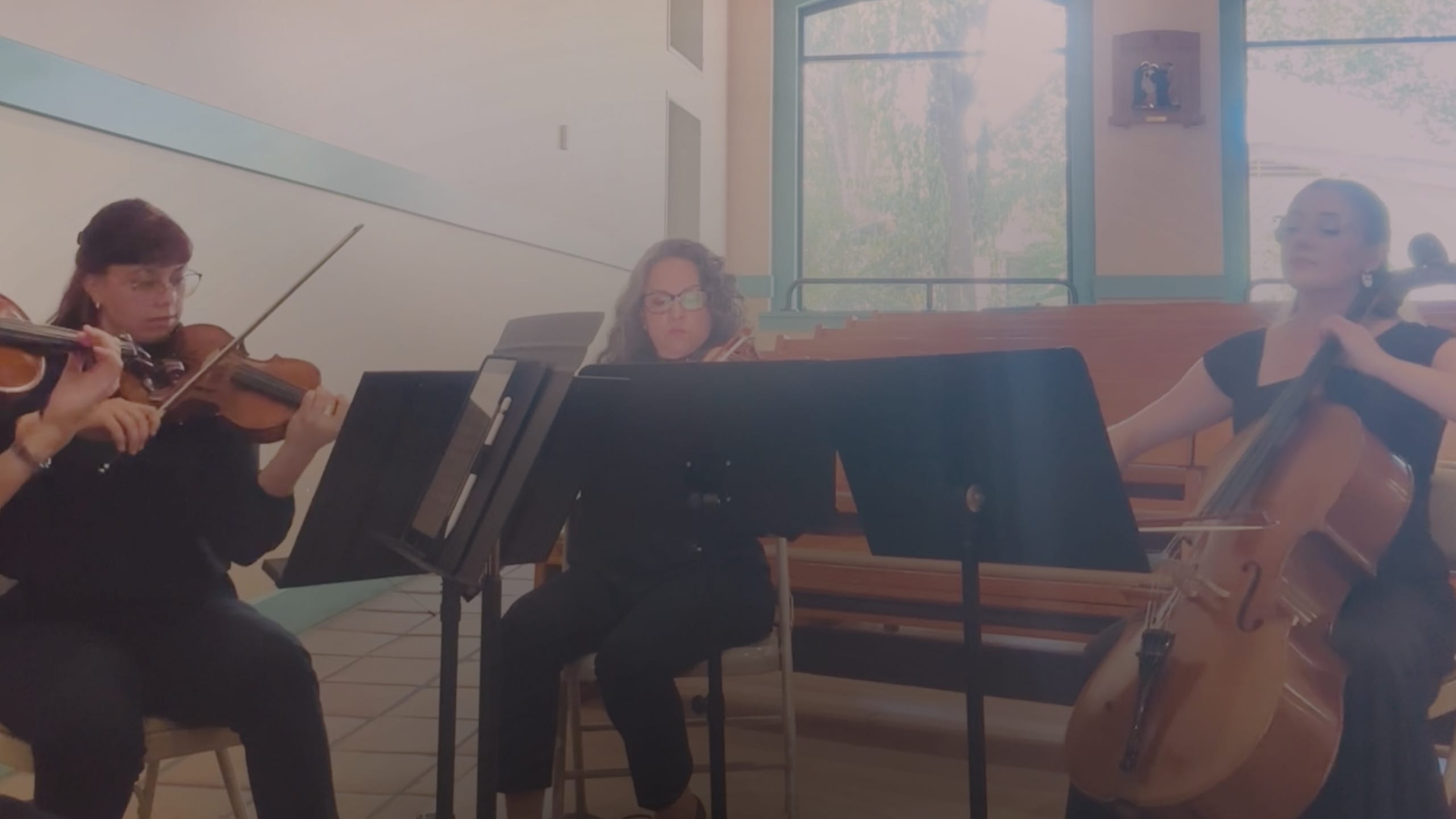 String Quartet in Austin, Texas performing at a wedding