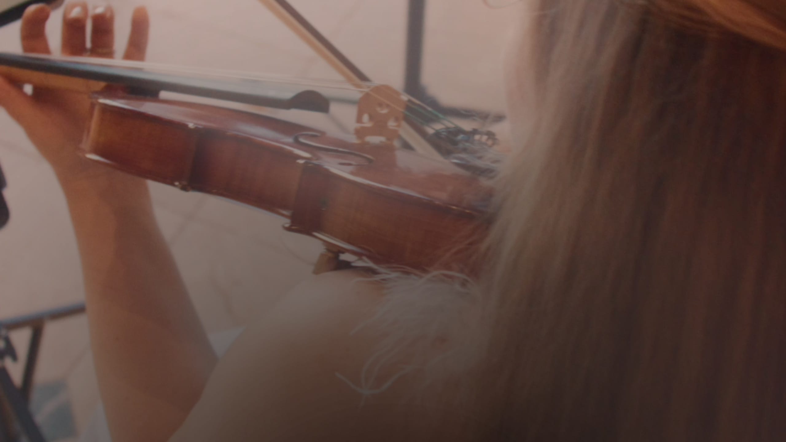 Violinist West Palm Beach performing with just the back of the head visible and the violin