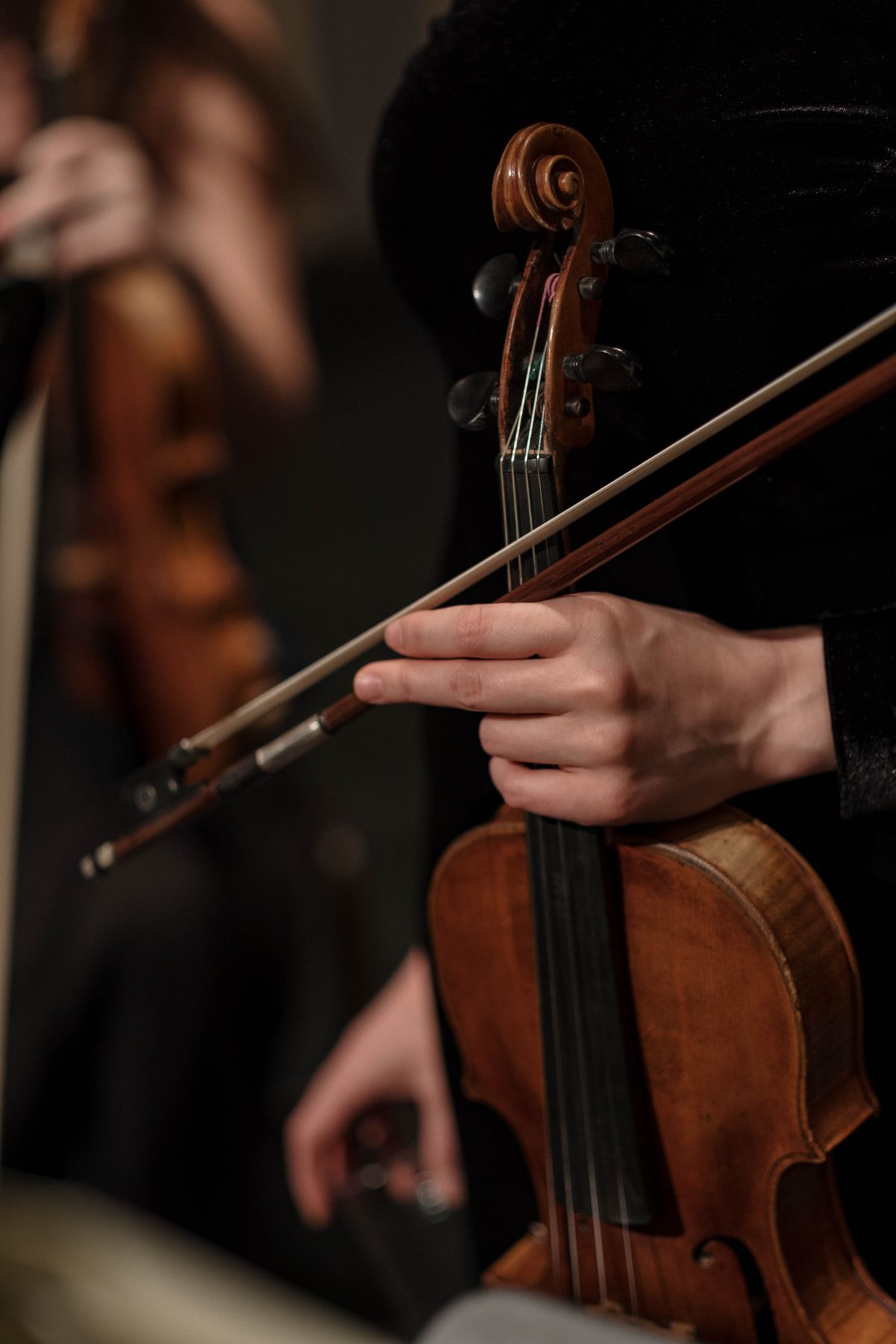 Dallas Violinist performing live at a wedding