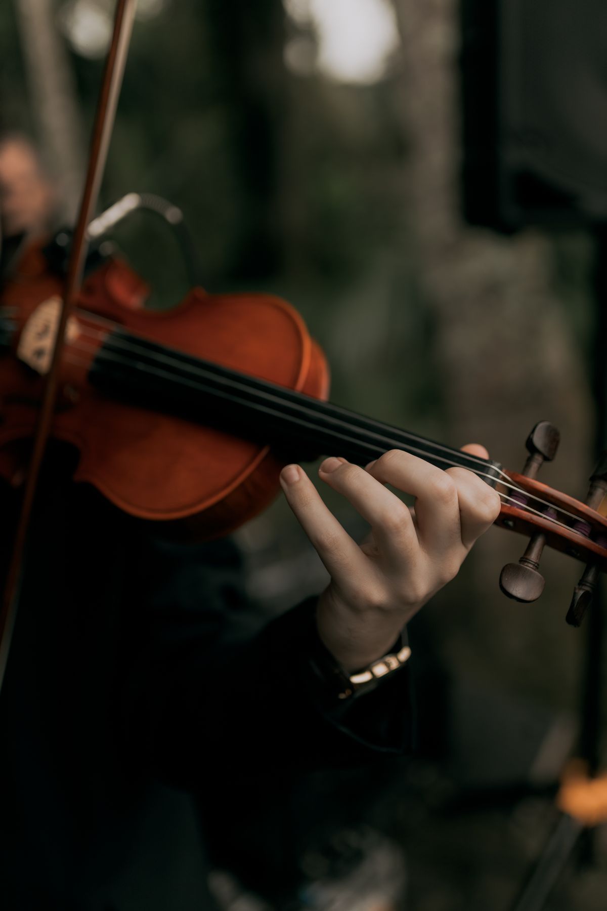 Tampa String Quartet performing live at a wedding