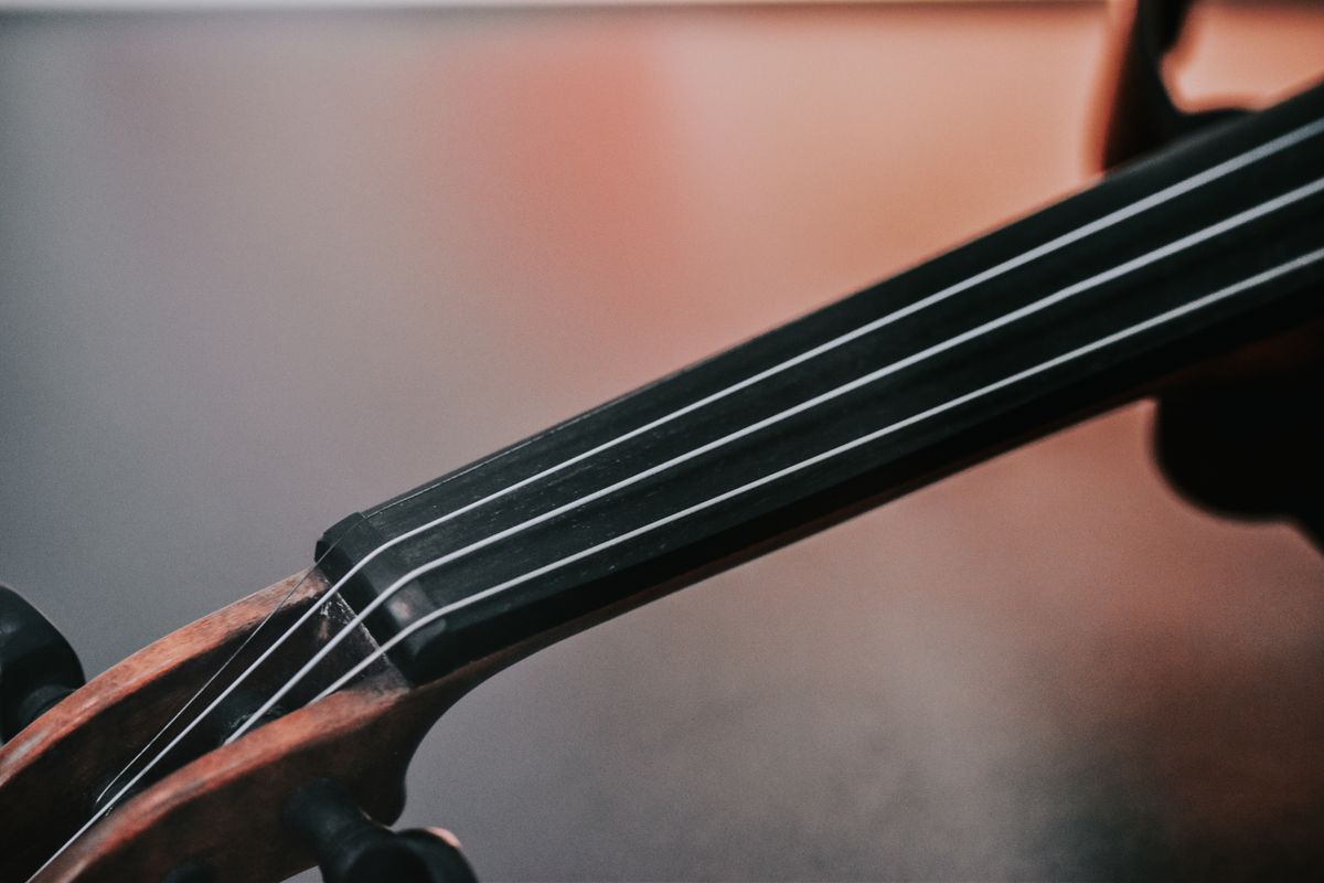 West Palm Beach String Quartet performing live at a wedding