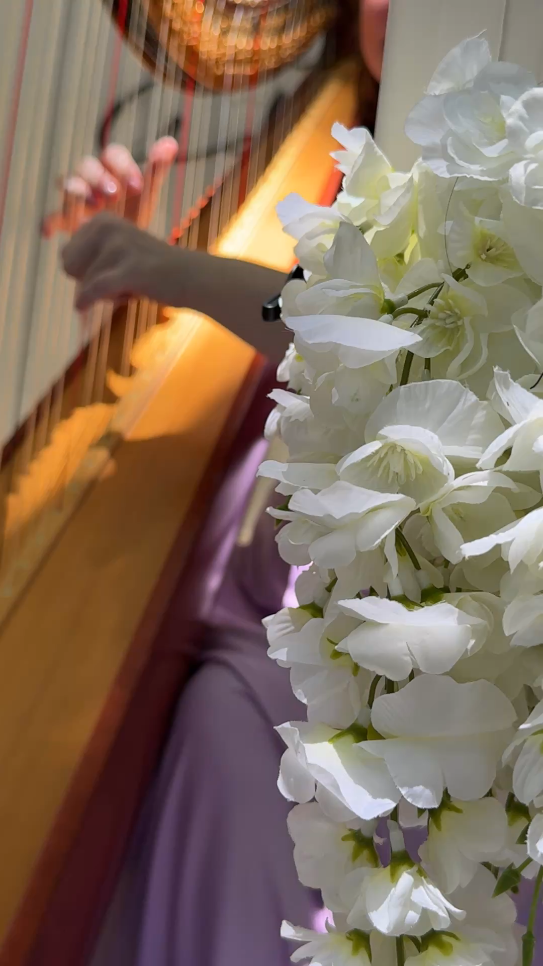 The Addison of Boca Raton Wedding Harpist