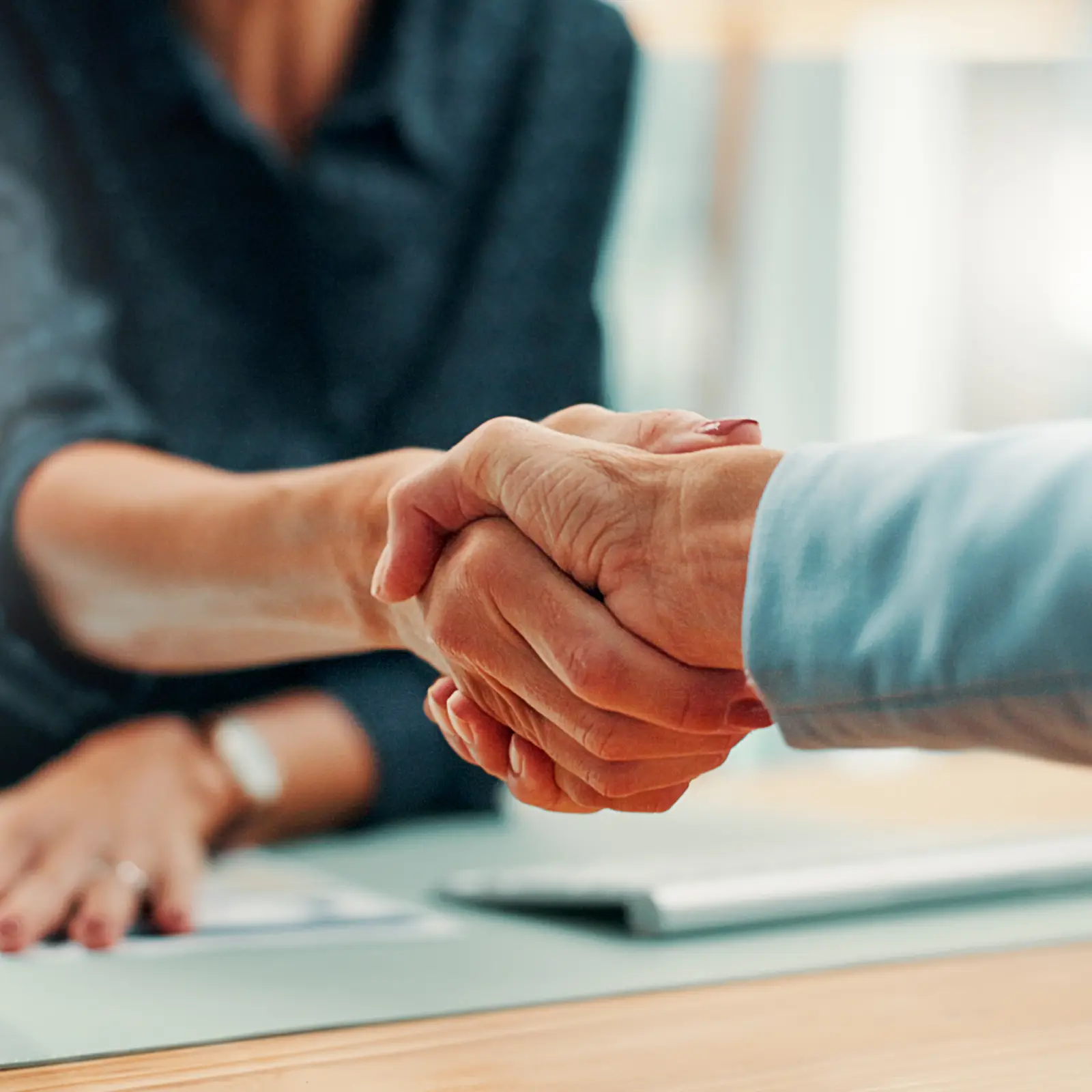 Partners shaking hands
