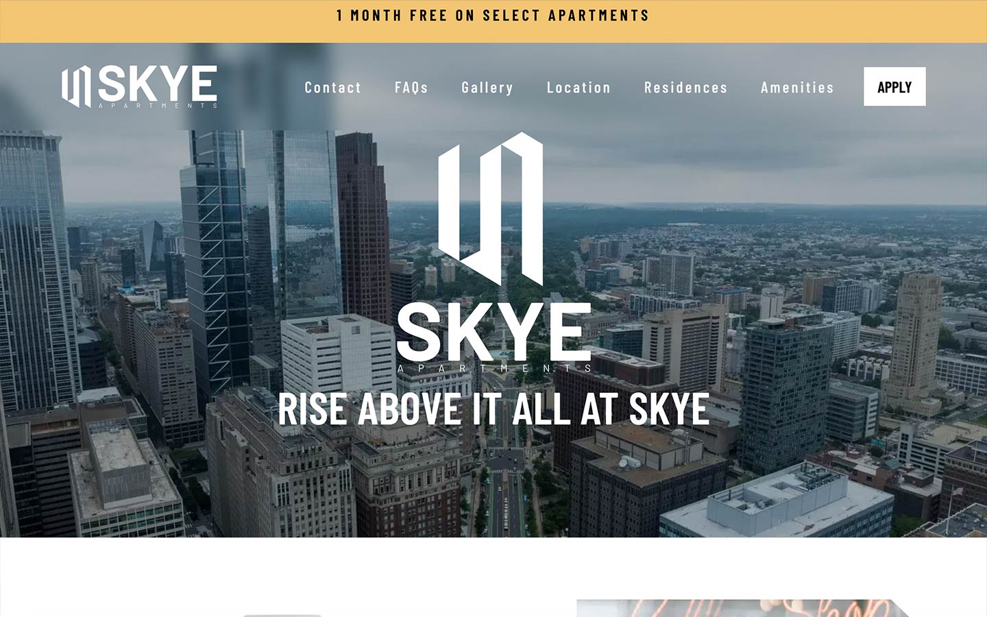 Skye website template preview